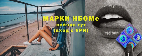 эйфоретик Алзамай