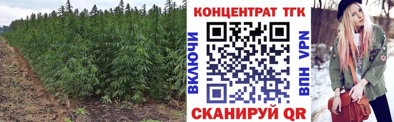 ТГК Wax  Купить  Волжский 