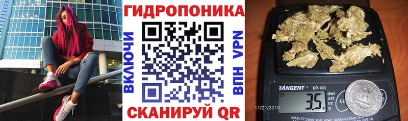 Конопля семена  Купить  Волжский 